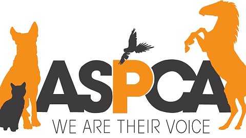 ASPCA Awards $51,000 Grant to Copper Horse Crusade